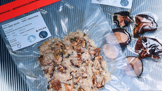 Digitale Demokratie Risotto Ai Funghi Porcini normal c Tobias Siebrecht